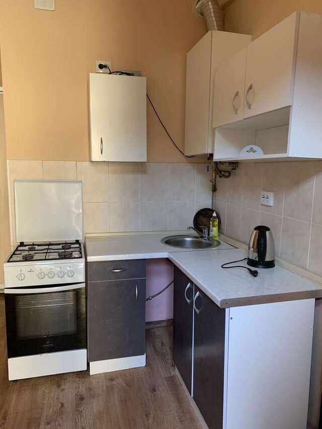 Апартаменты 5/3Kotliarska Moisha House Львов-5